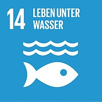 UN-Nachhaltigkeitsziel 14